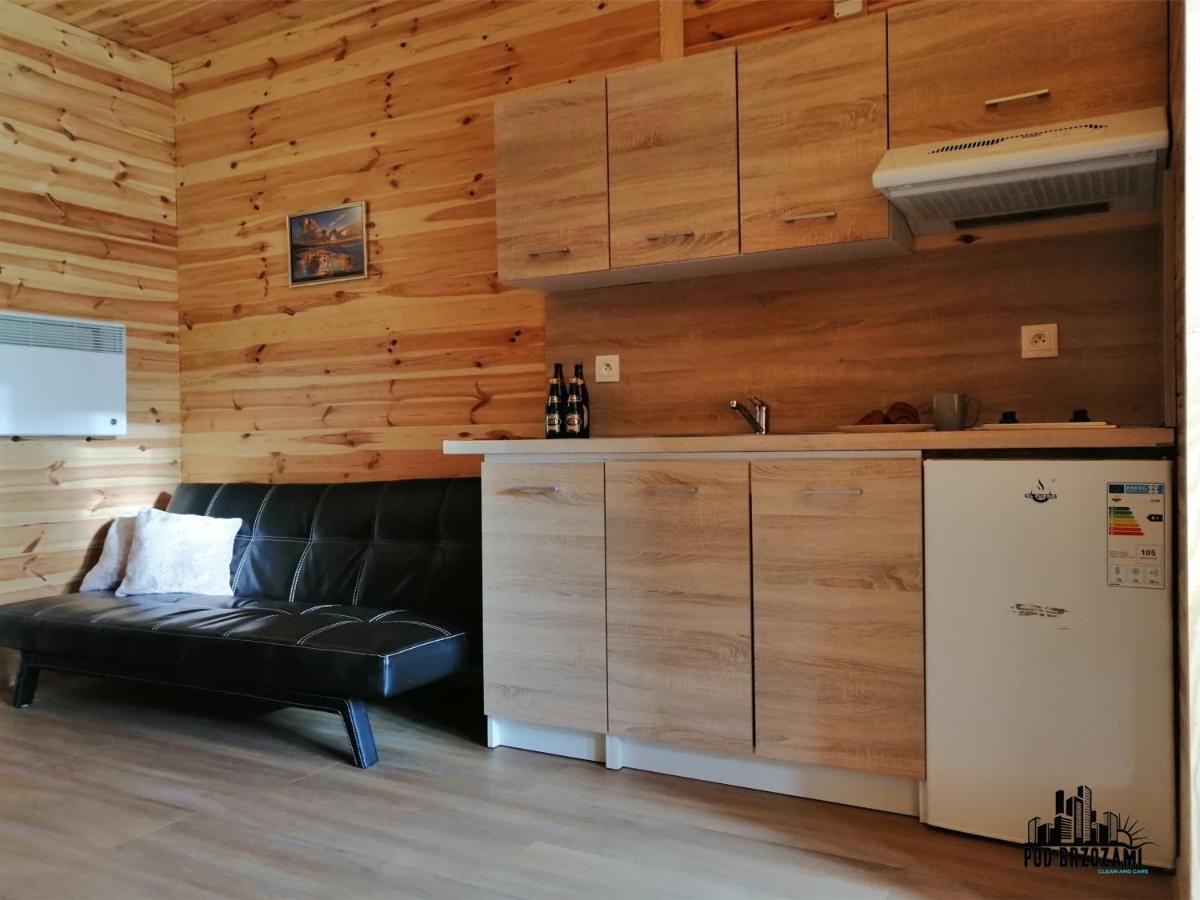Pod Brzozami Apartamenty Domek Ustronny أوسترونيه مورسكية المظهر الخارجي الصورة